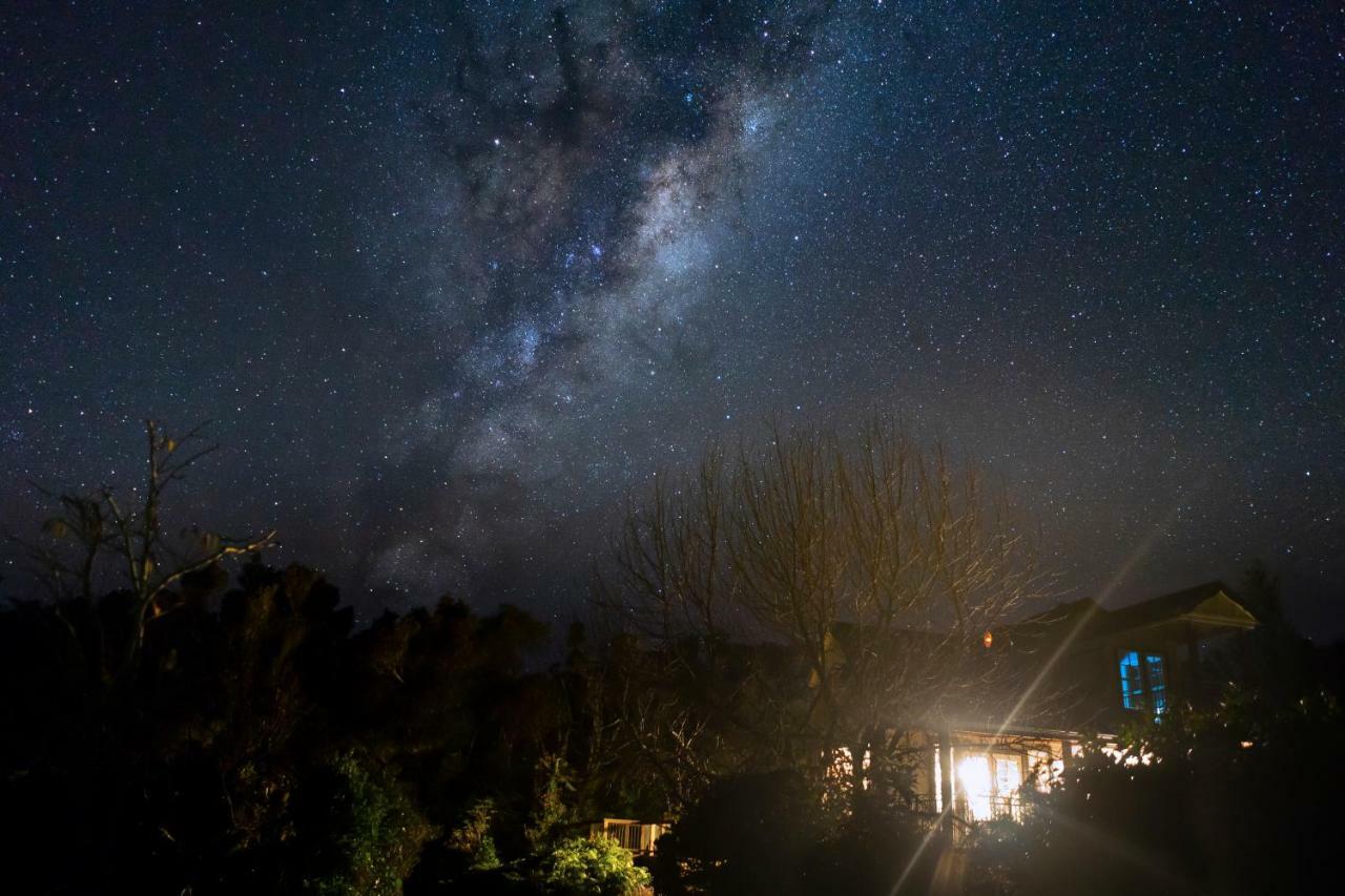 Appartement Georges Bnb Nature And Lifestyle Retreat à New Plymouth Extérieur photo